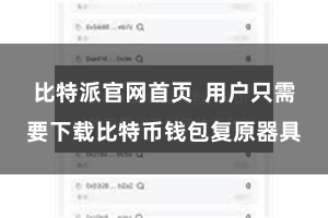 比特派官网首页  用户只需要下载比特币钱包复原器具